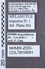 Etiketten zu Tomicephalus insignis (NHMW-ZOO-COL-0010091)